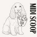 Midi Chew Scoop