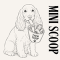 Mini Chew Scoop