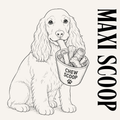 Maxi Chew Scoop