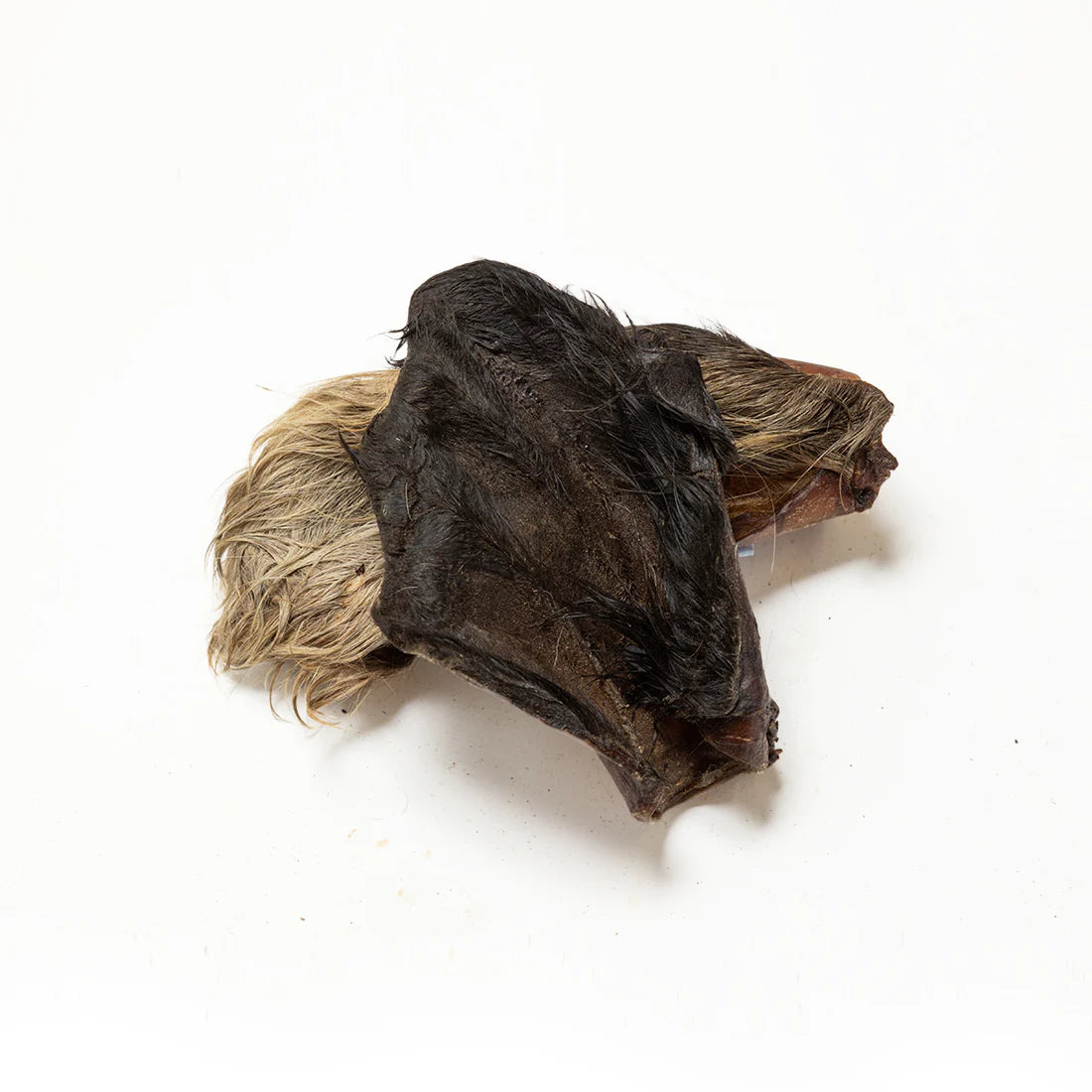 Large Hairy Cows Ear