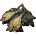 Flounder