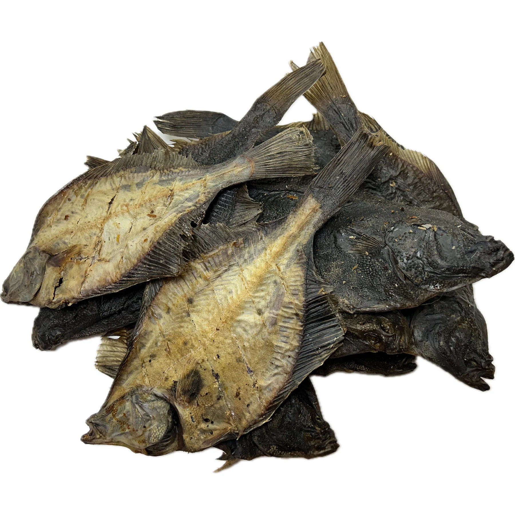 Flounder
