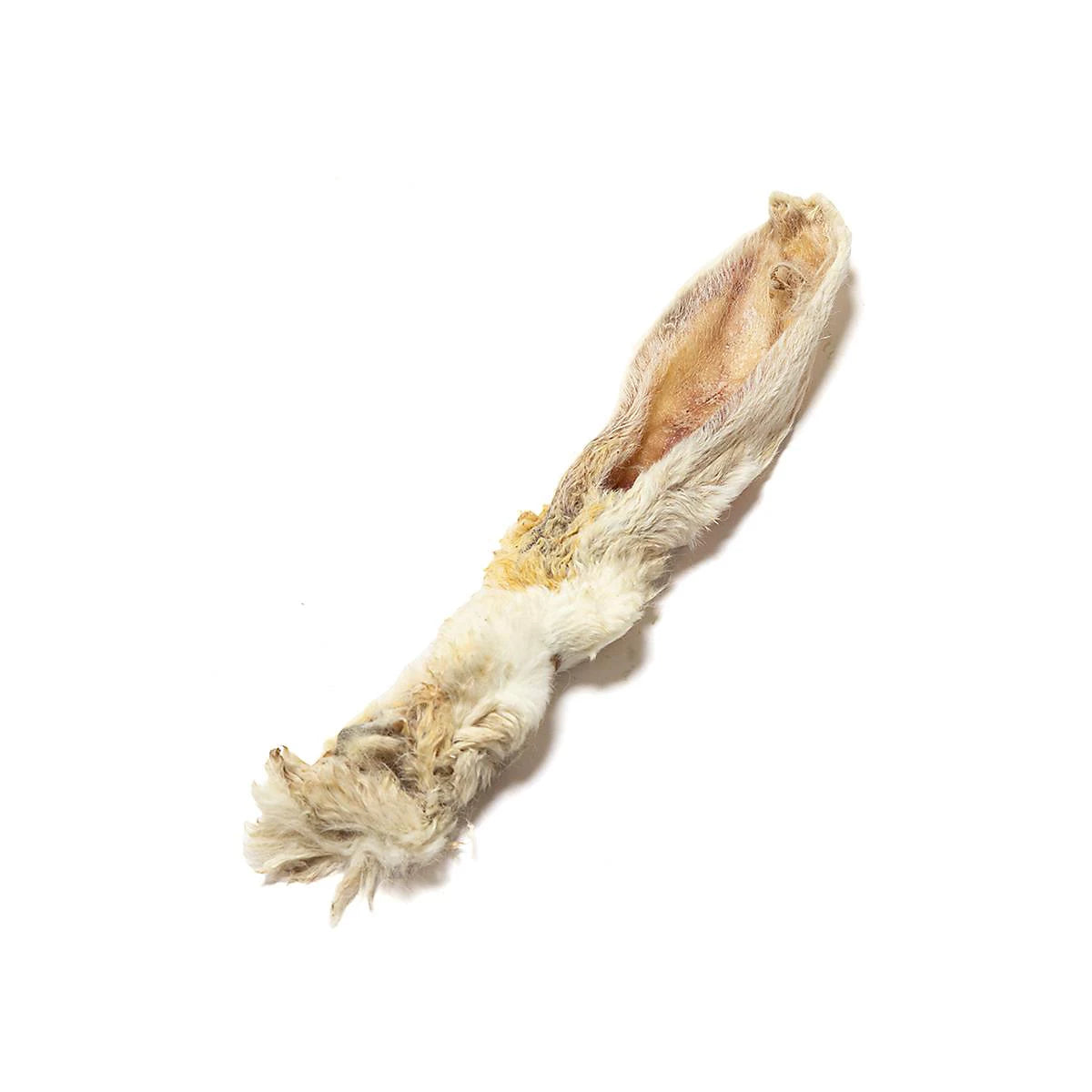 Hairy Rabbit Ear